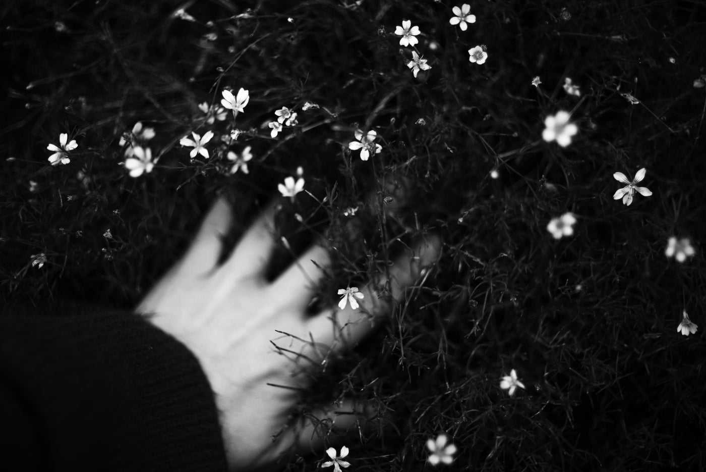 Gratitude as Energy: The TRUE Power of Gratitude