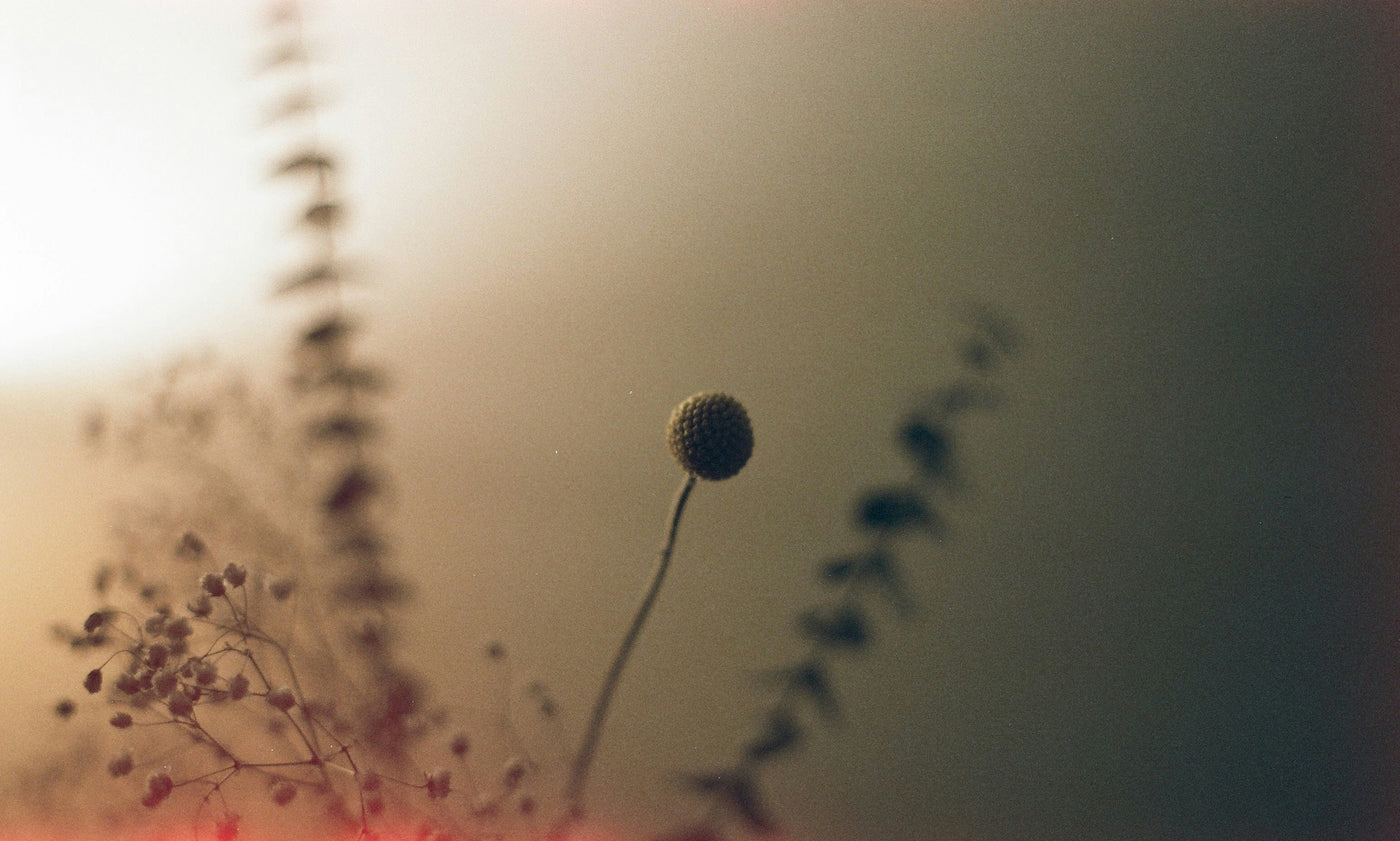 Clearing the Old: A Guided Meditation for Release and Reset