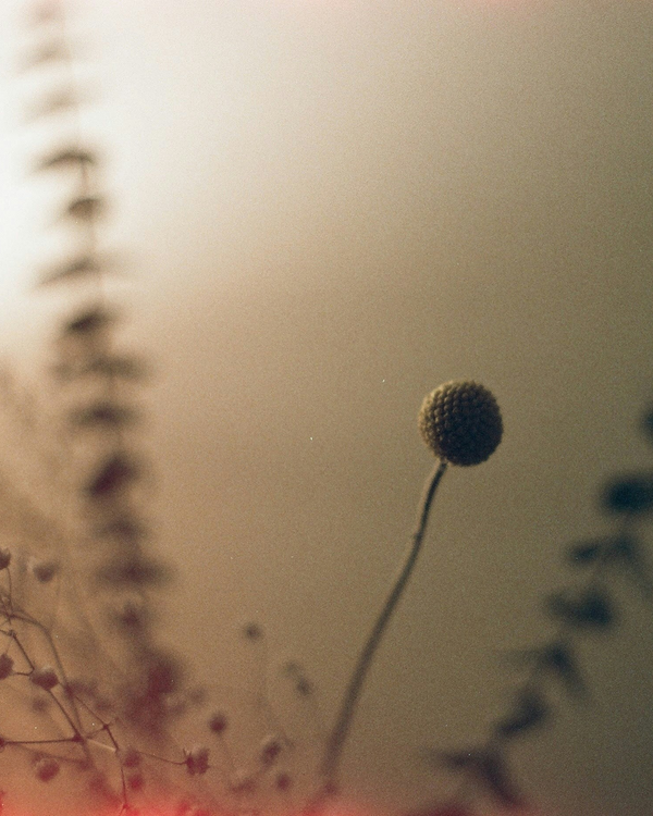 Clearing the Old: A Guided Meditation for Release and Reset