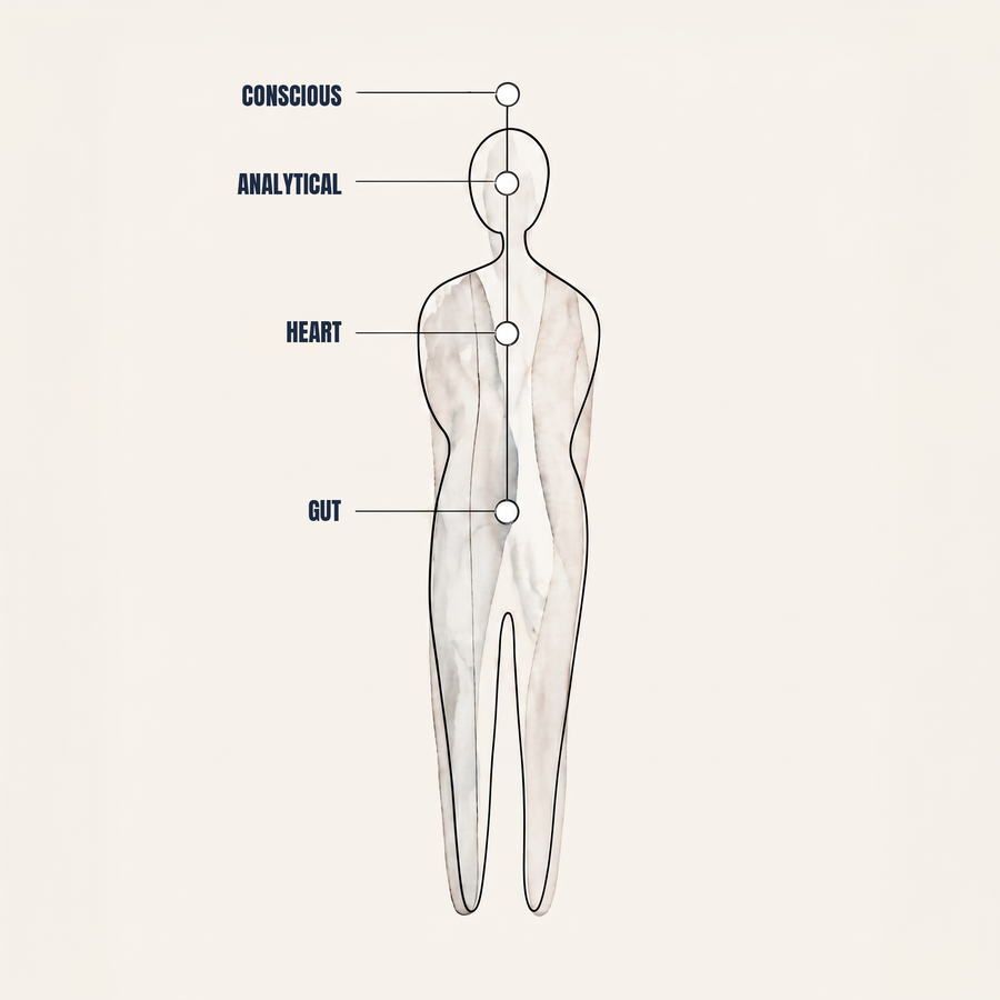 Our Four Brains diagram