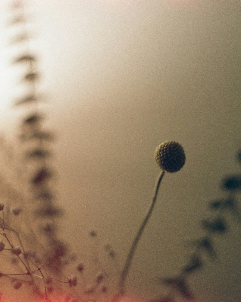 Clearing the Old: A Guided Meditation for Release and Reset