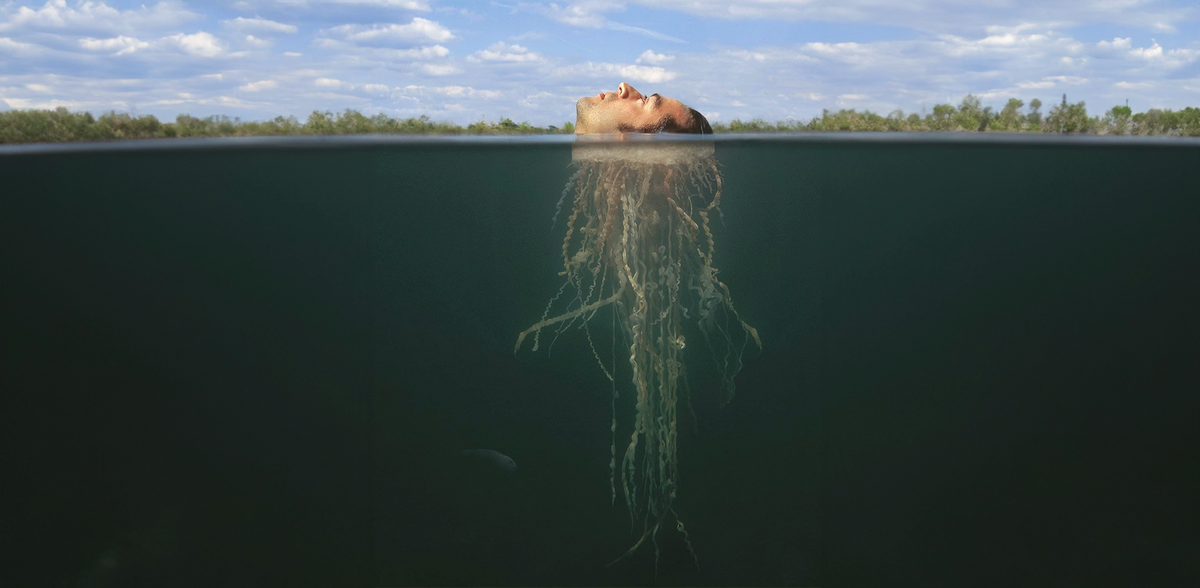 What I’ve Learned About Manifesting (and What I Want You to Know Too)